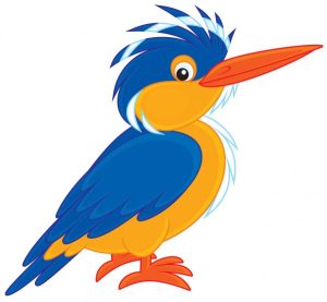Full clilpart Kingfisher