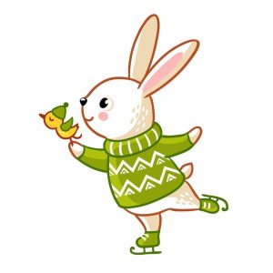 Full clilpart Rabbit in sweater skates