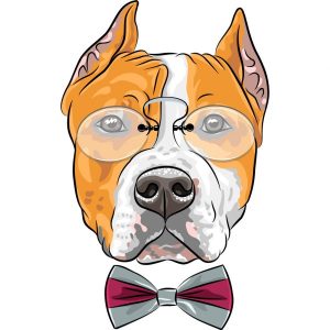 Full clipart American Staffordshire Terrier Dog