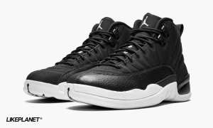 2-Air Jordan 12 Retro "Psny Friends And Family" - 2799-70191