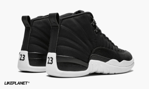 3-Air Jordan 12 Retro "Psny Friends And Family" - 2799-70191