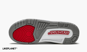 Sapatilhas de golfe Jordan XII G Cinzento