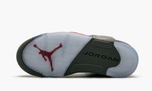 Future Air Jordan 5 White Metallic