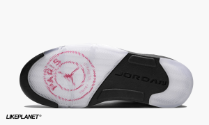 Take a closer look at the Air Jordan 5 Shorts below which are
