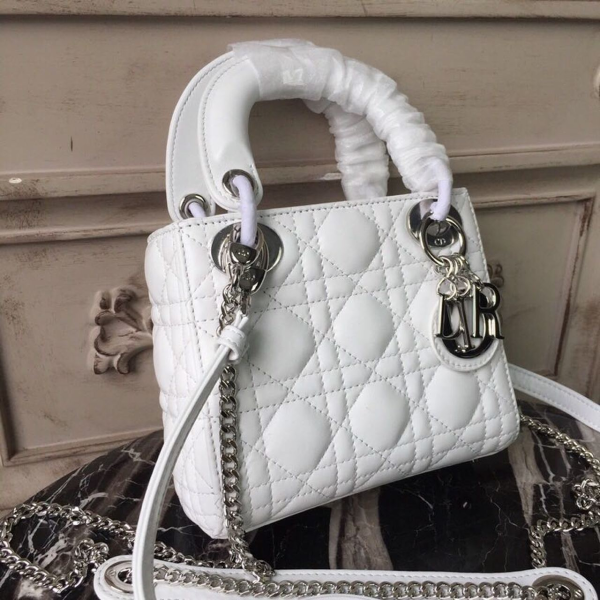 White and 2024 silver bag