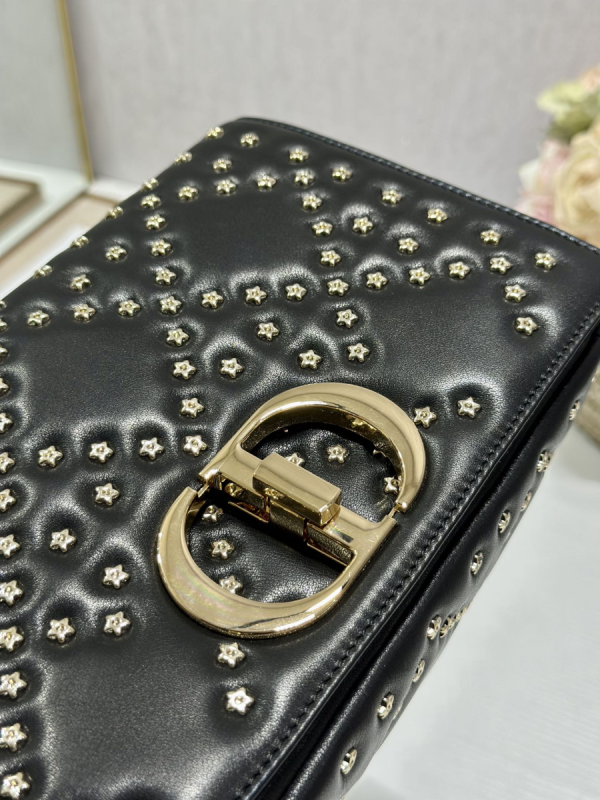 6 medium caro bag blackwhite for women 10in255cm 2799 1822