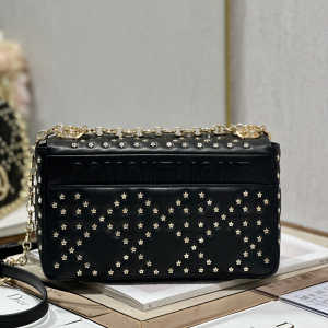 12 medium caro bag blackwhite for women 10in255cm 2799 1822