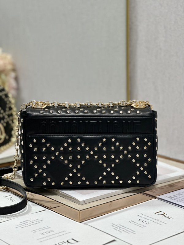12 medium caro bag blackwhite for women 10in255cm 2799 1822