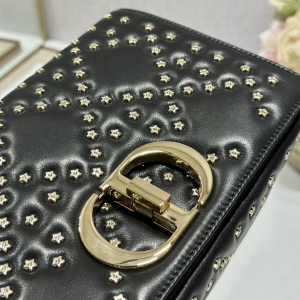 13 medium caro bag blackwhite for women 10in255cm 2799 1822