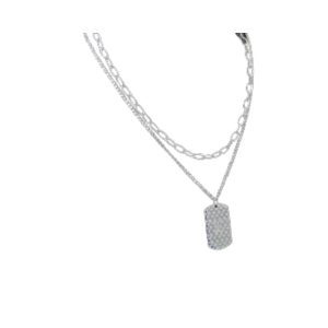 4-Big Tag Lv Necklace Silver Tone For Women   2799