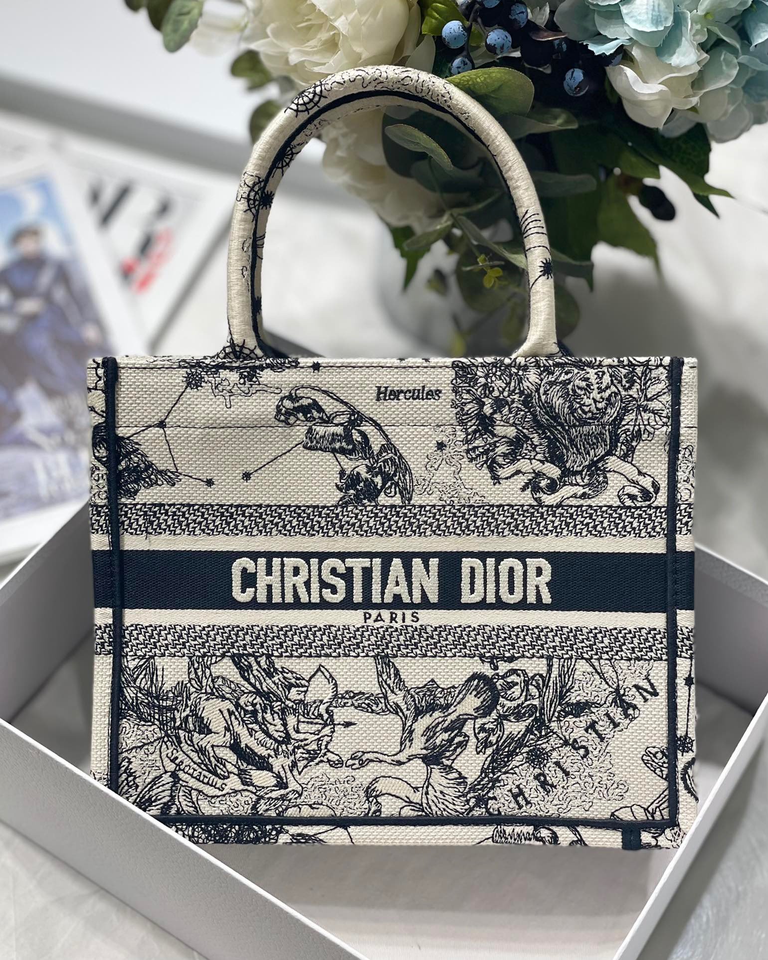 Dior around the world book tote small sale