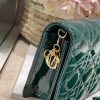 christian dior lady dior pouch green for women womens handbags 85in215cm cd 9988