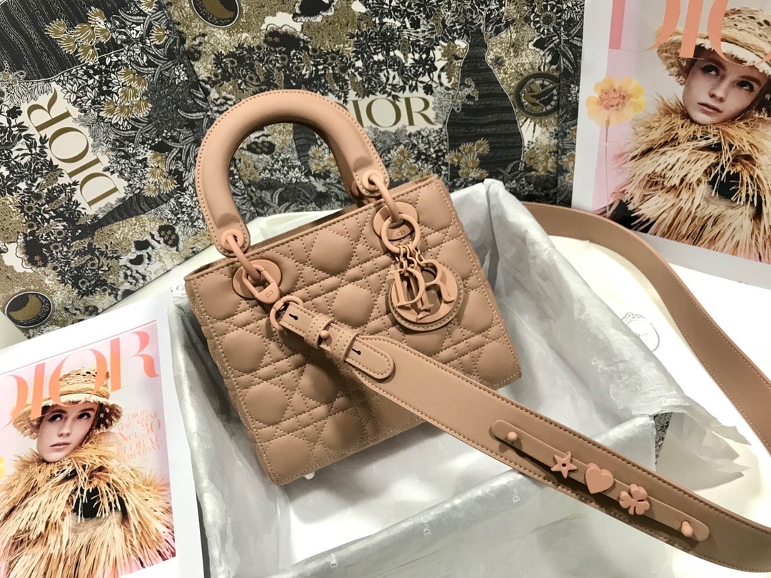 brown stripe logo crossbody Rachel bag - Christian Dior Smal brown stripe logo crossbody Rachel bag - Christian Dior Smal