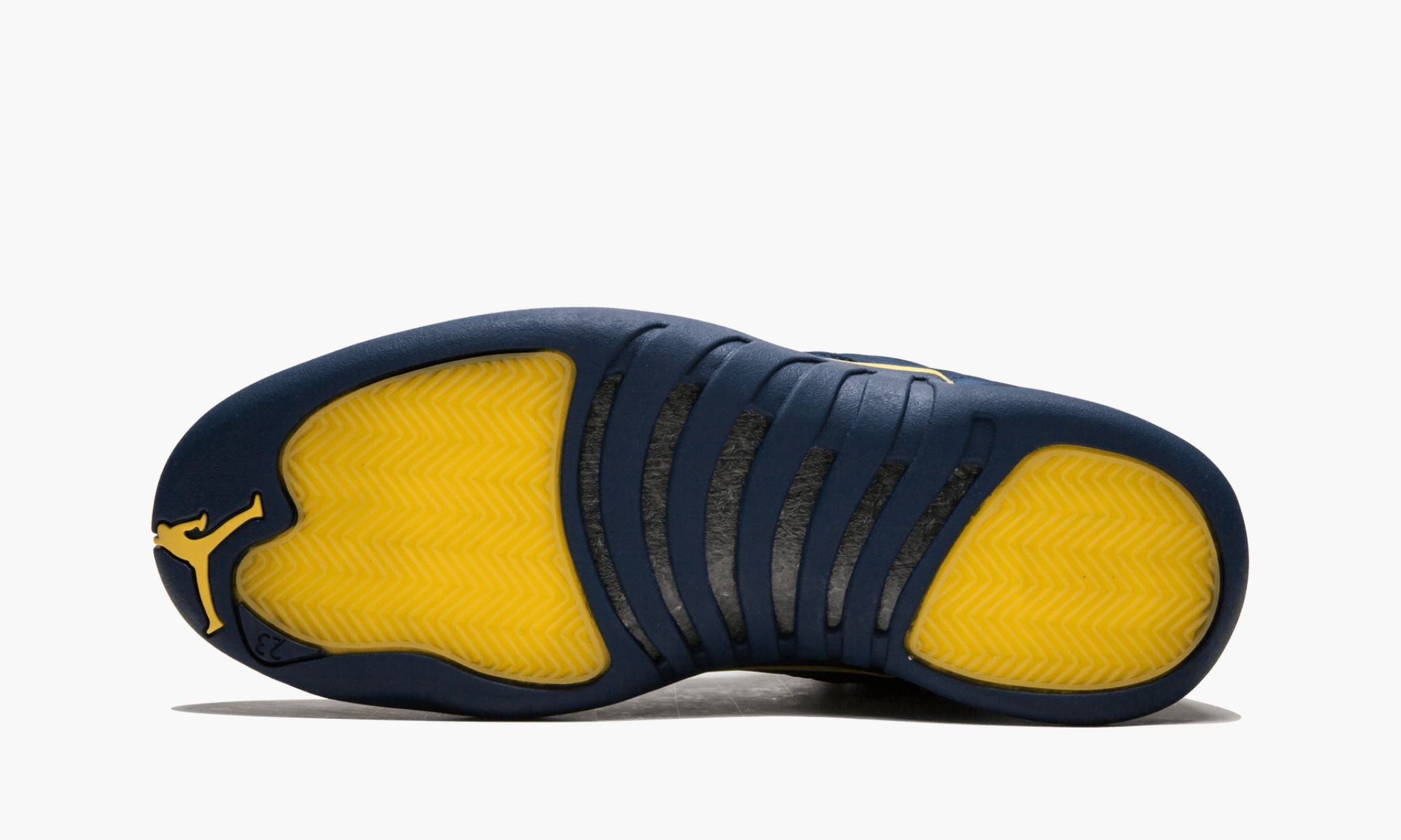 Michigan jordan 12 best sale