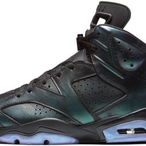 1 air jordan home 6 retro all star chameleon 9988 1