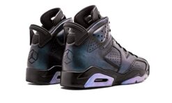 6 air jordan home 6 retro all star chameleon 9988 1