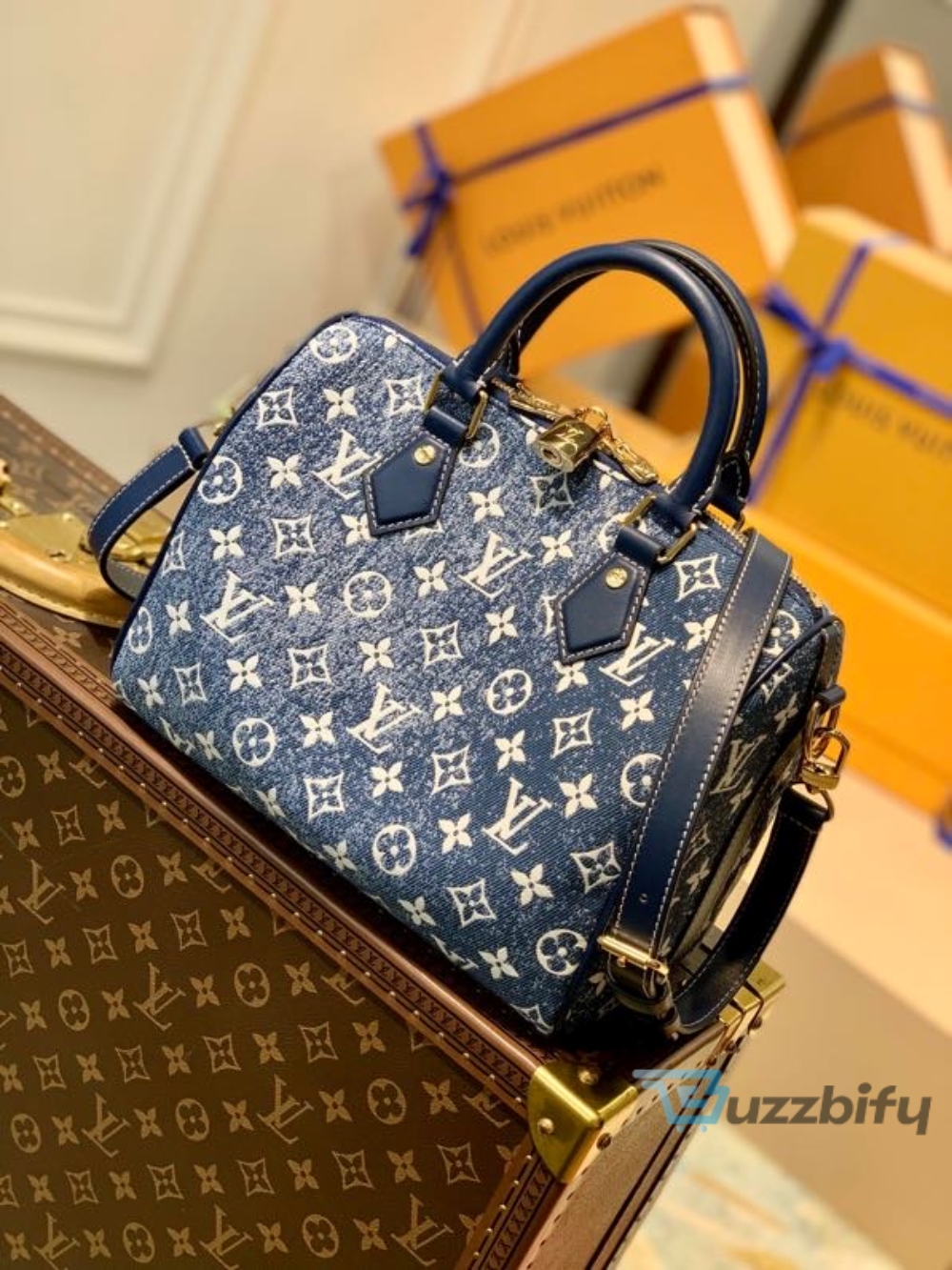 x Louis Vuitton 4