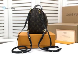 Louis Vuitton Palm Springs Mini Monogram Canvas For Women Womens Handbags Womens Backpack 6.7In17cm Lv M44873