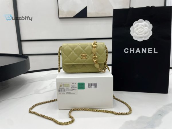 Chanel Classic Distressed Green For Women Womens Bags 4.7In12cm - Buzzbify