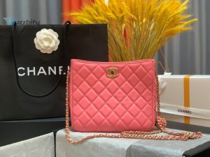 chanel handbag hobo handbag pink bag for women 16cm6in buzzbify 1