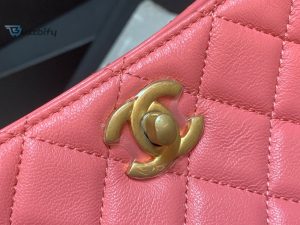 chanel hobo handbag pink bag for women 16cm6in buzzbify 1 1