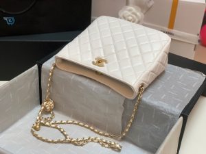 Chanel Hobo Handbag White Bag For Women 16Cm6in