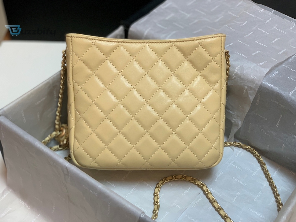 Chanel Hobo Handbag Beige Bag For Women 16Cm6in
