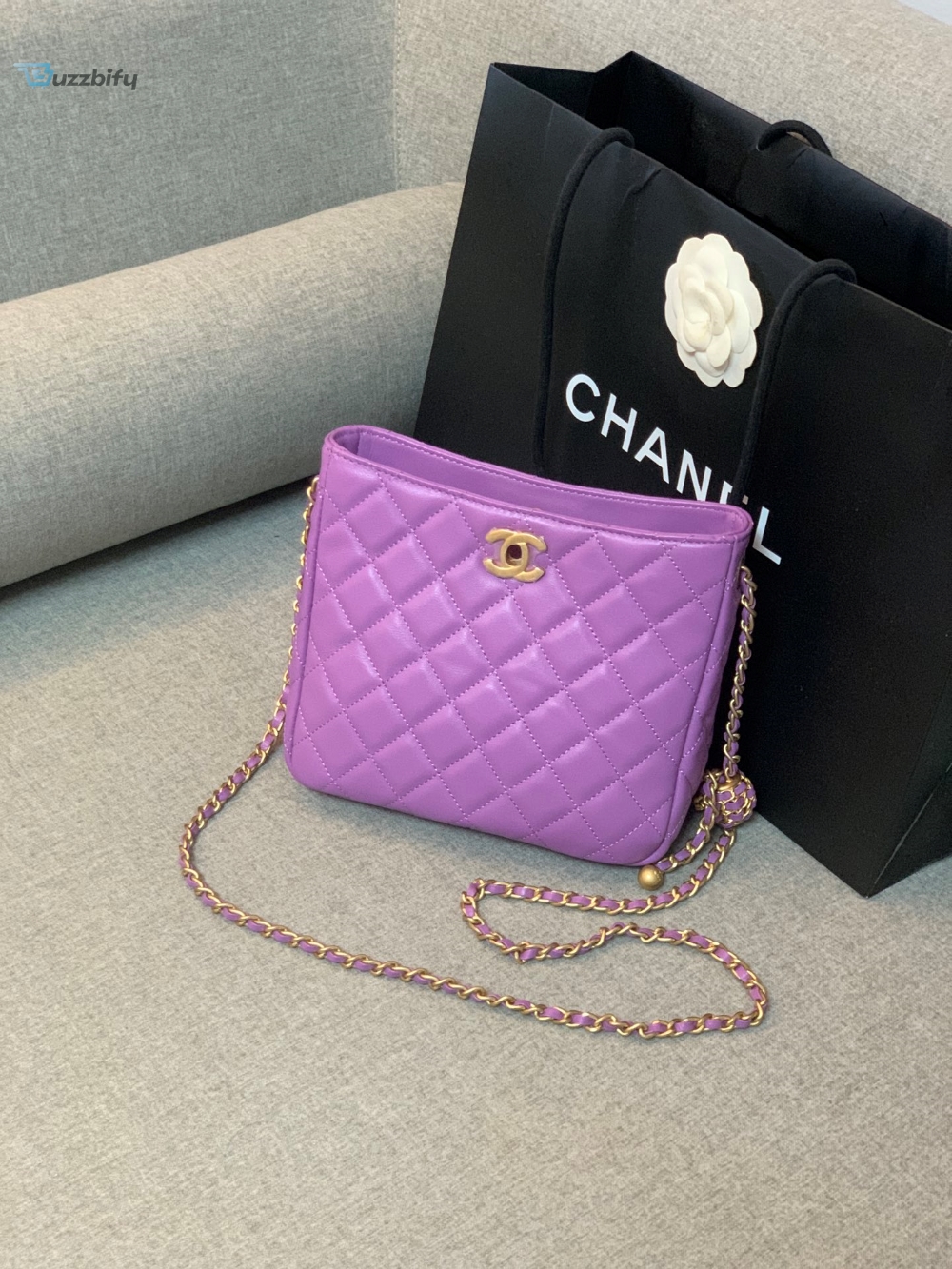 Chanel Hobo Handbag Purple Bag For Women 16Cm6in