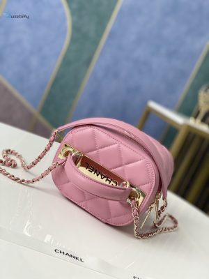 chanel vanity case gold hardware pink for women womens handbags shoulder bags 94in24cm buzzbify 1 1