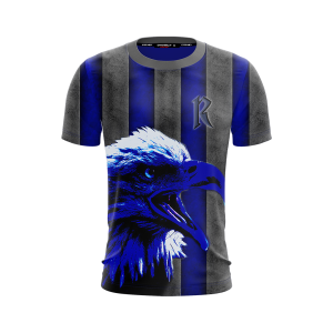 Striped Ravenclaw Harry Potter Unisex 3D T-shirt