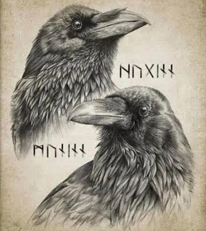 viking huginn and muninn uniqdoncom 1